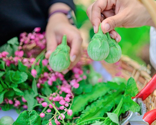 Chef's Garden